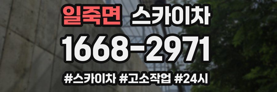 일죽면 스카이차