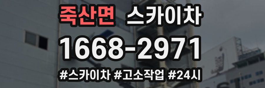 죽산면 스카이차