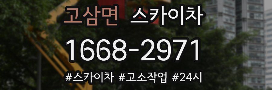 고삼면 스카이차