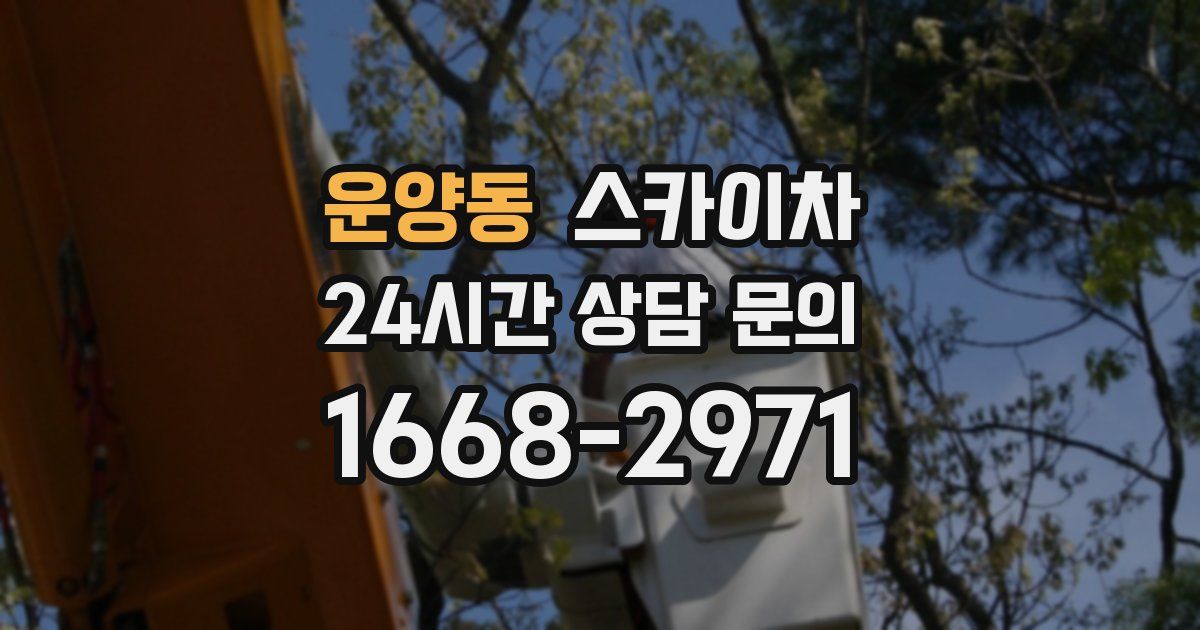 운양동 스카이차