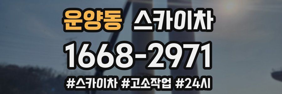운양동 스카이차