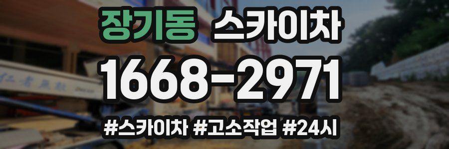 장기동 스카이차