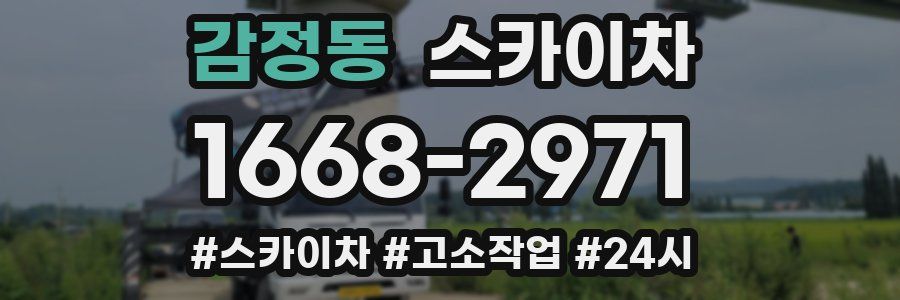 감정동 스카이차