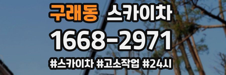 구래동 스카이차