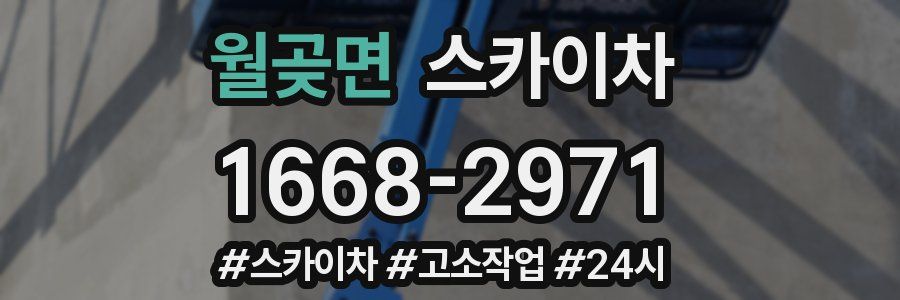 월곶면 스카이차