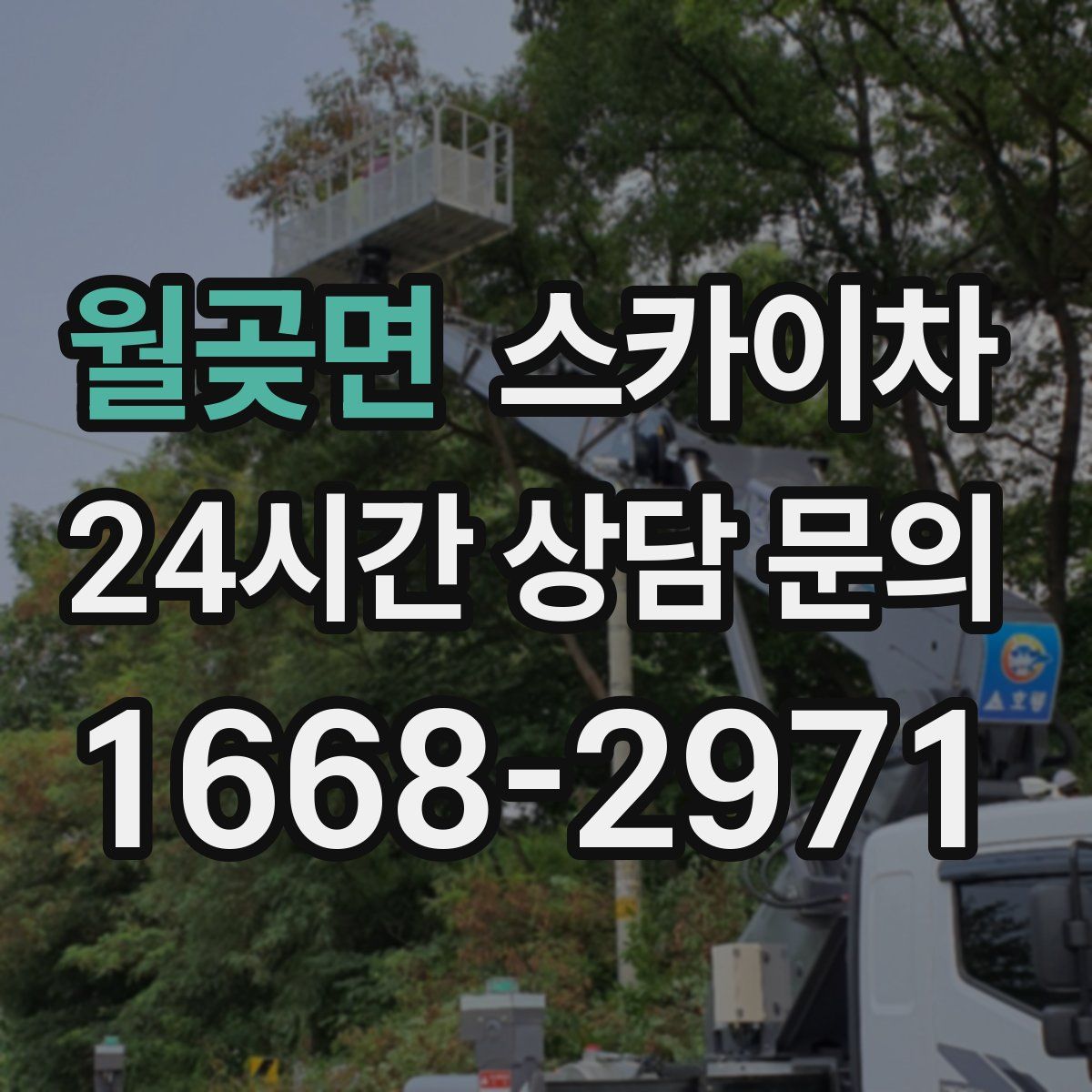 월곶면 스카이차