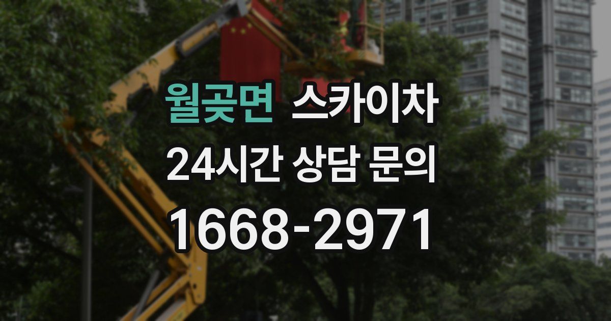 월곶면 스카이차