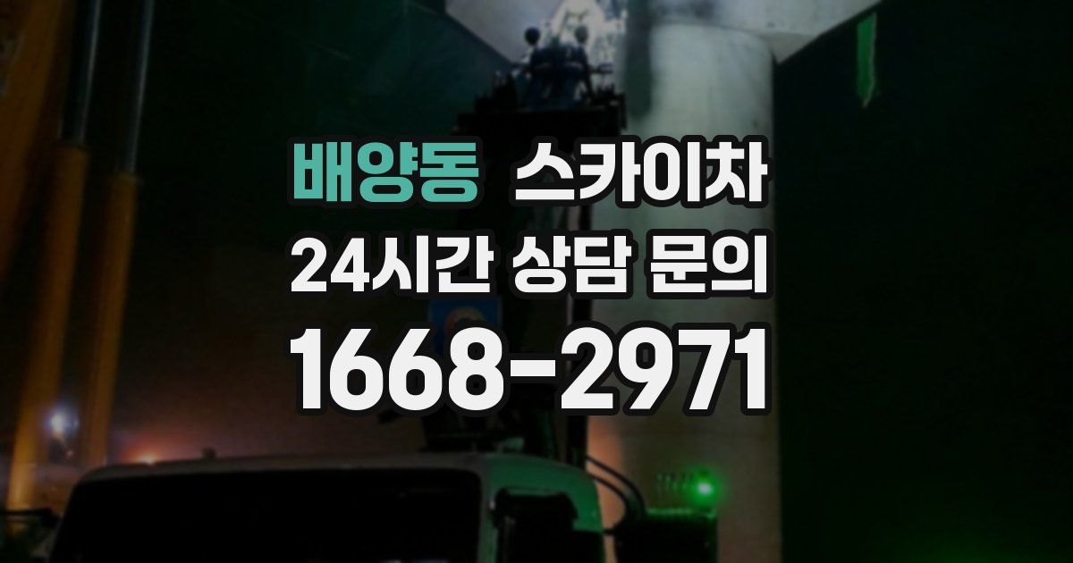 배양동 스카이차