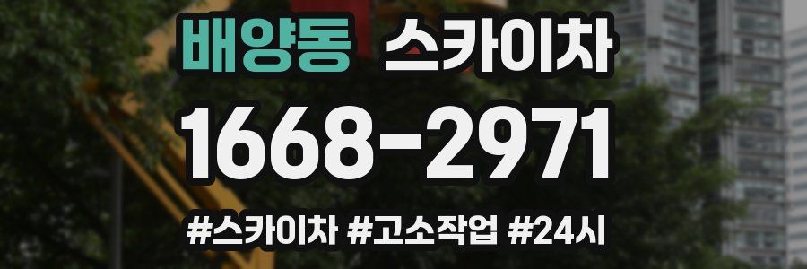 배양동 스카이차