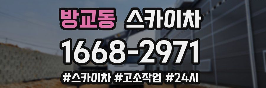 방교동 스카이차