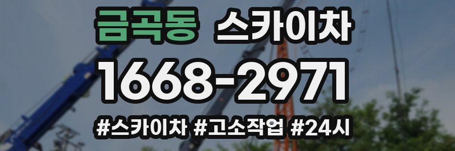 금곡동 스카이차