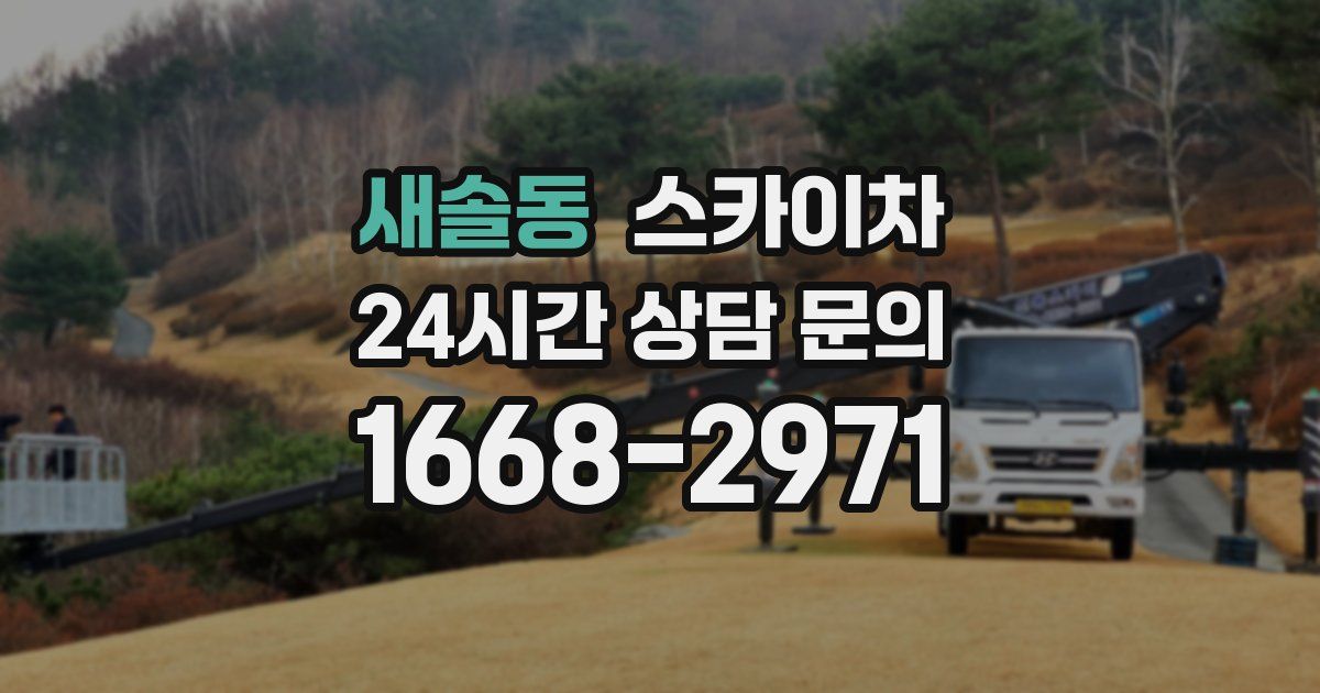 새솔동 스카이차