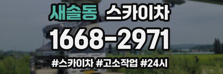 새솔동 스카이차