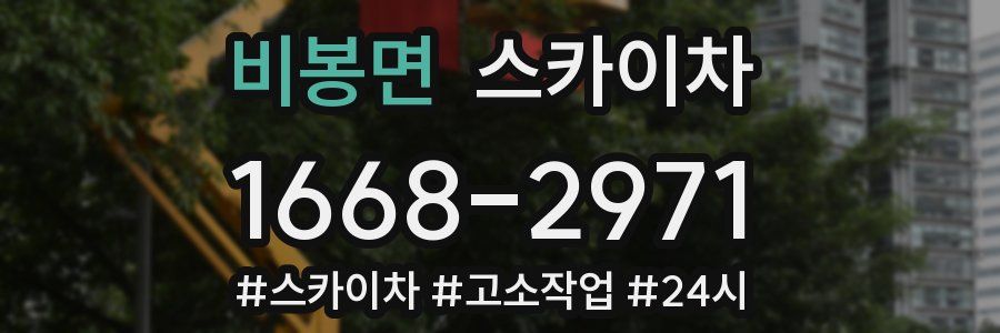 비봉면 스카이차