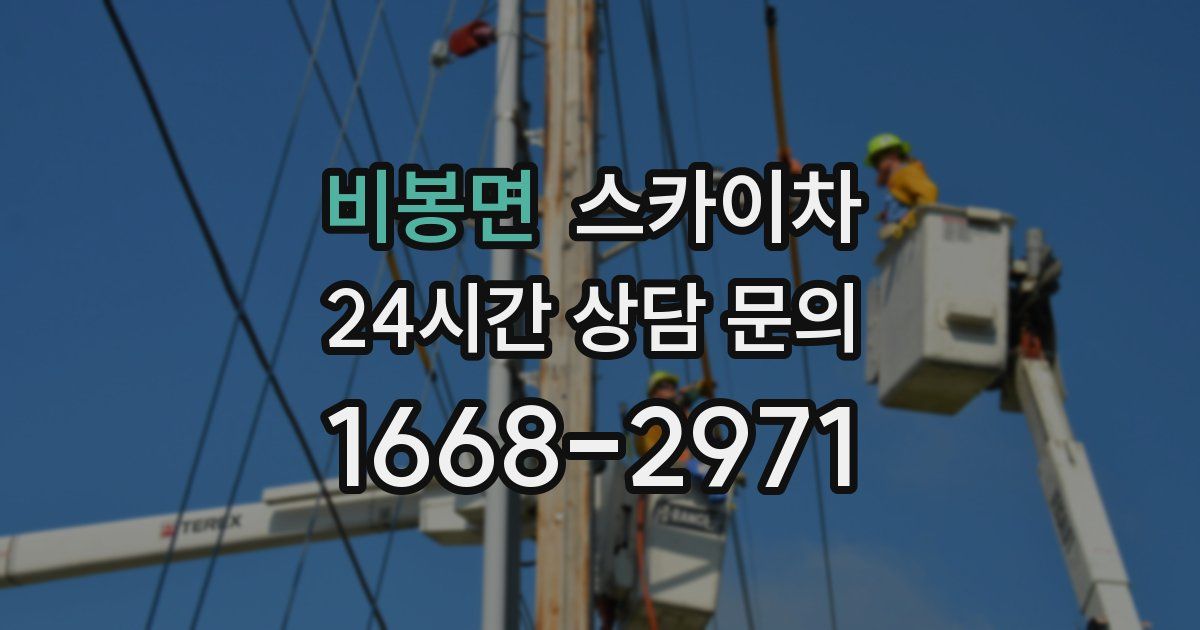 비봉면 스카이차