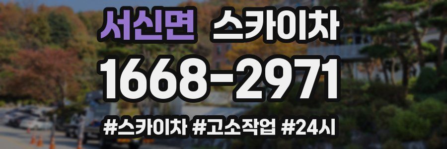 서신면 스카이차