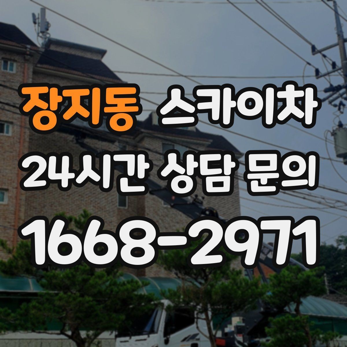 장지동 스카이차 나무 가지 전정 작업에 활용하는 방법