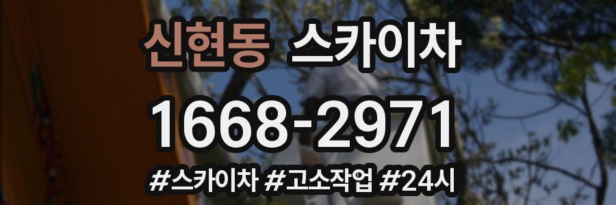 신현동 스카이차