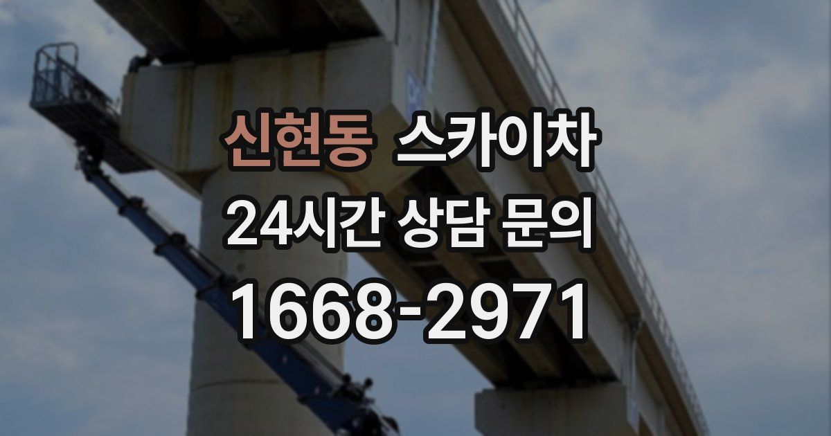 신현동 스카이차