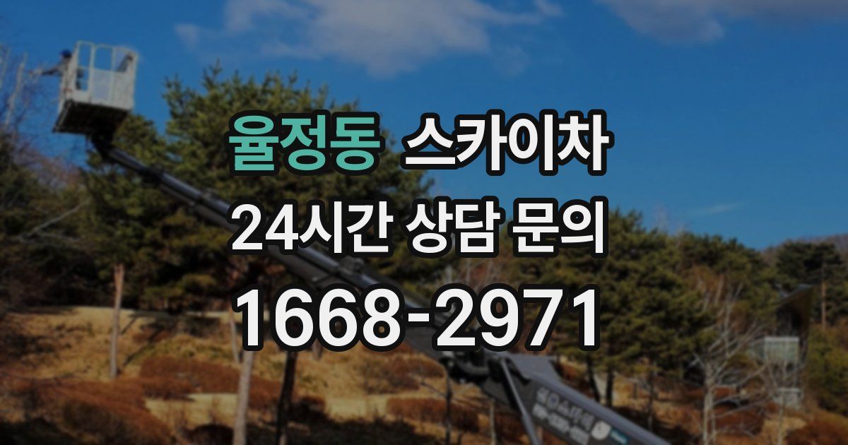 율정동 스카이차