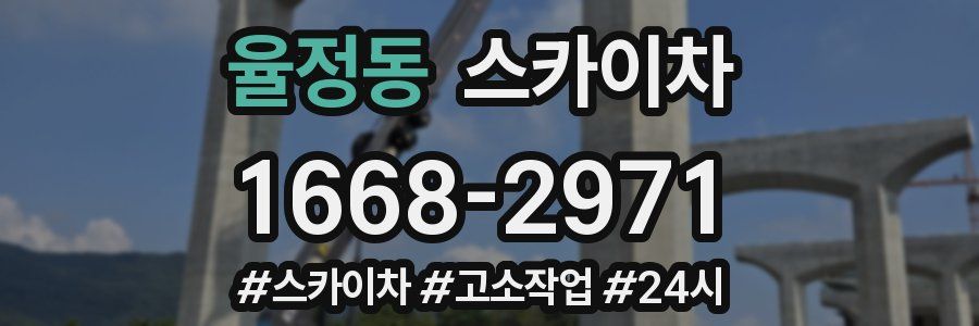 율정동 스카이차