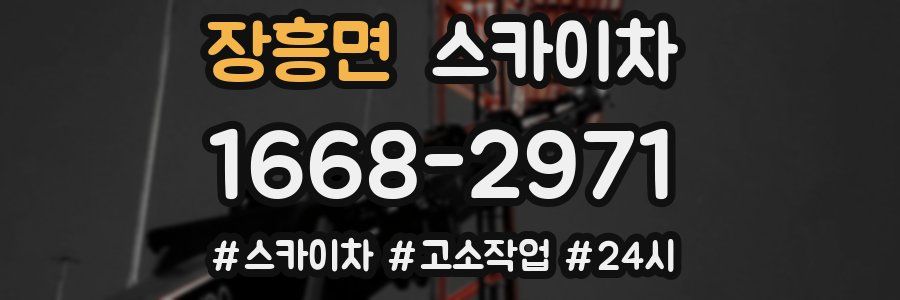 장흥면 스카이차