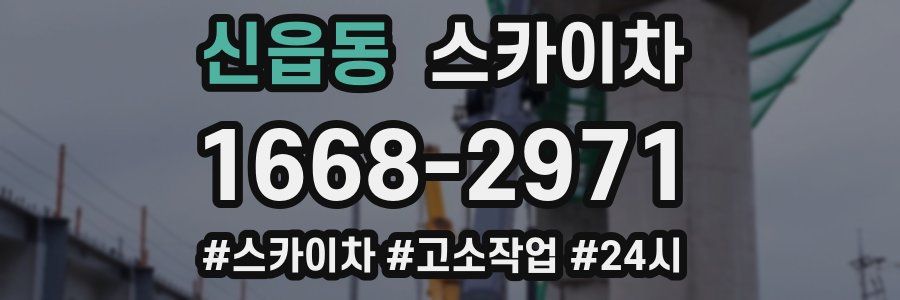 신읍동 스카이차