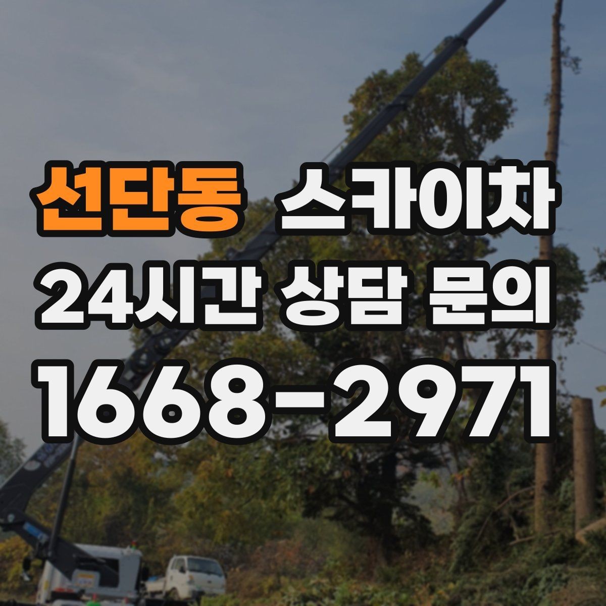 선단동 스카이차 겨울철 간판 조명 점검으로 안전 확보