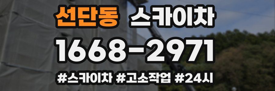 선단동 스카이차