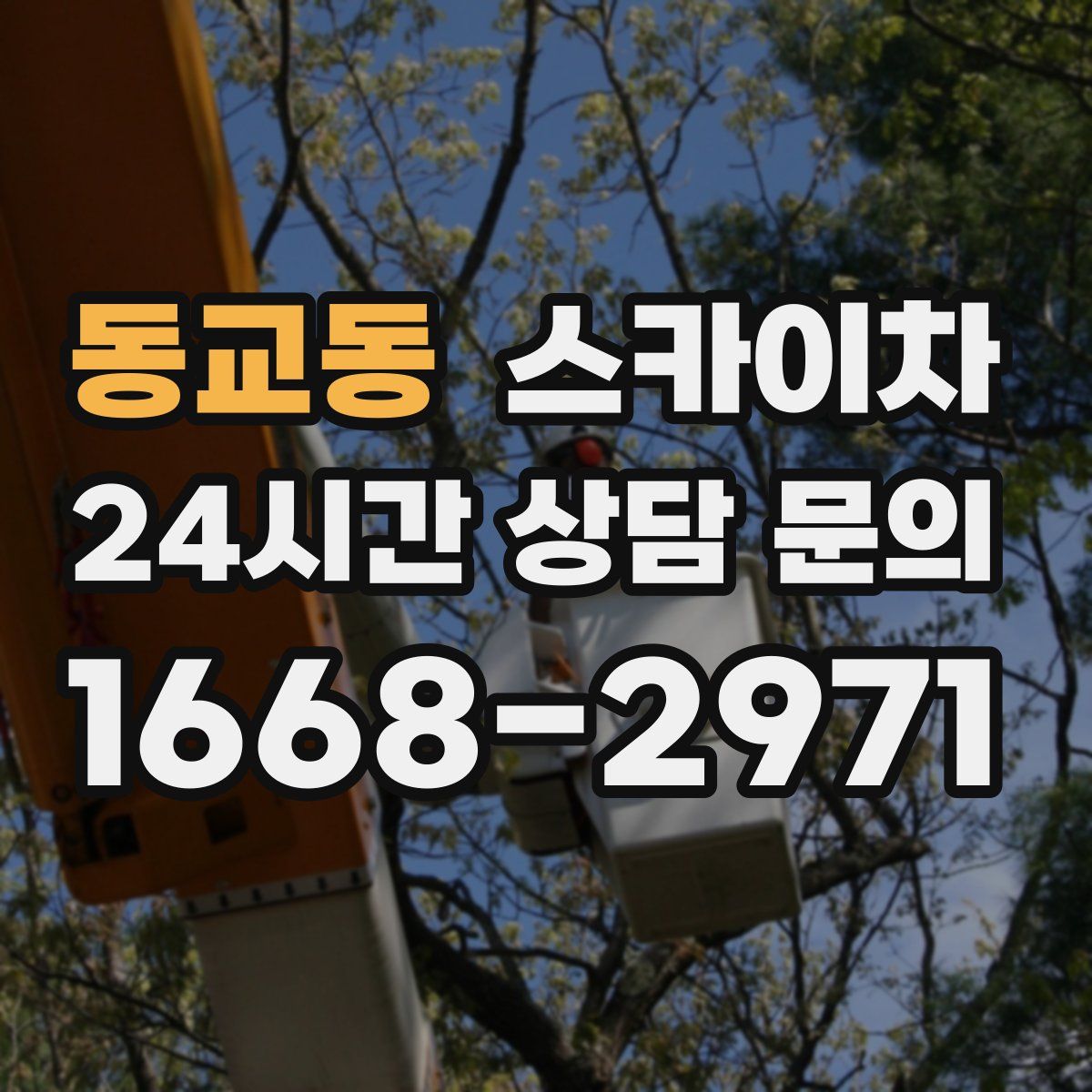 동교동 스카이차