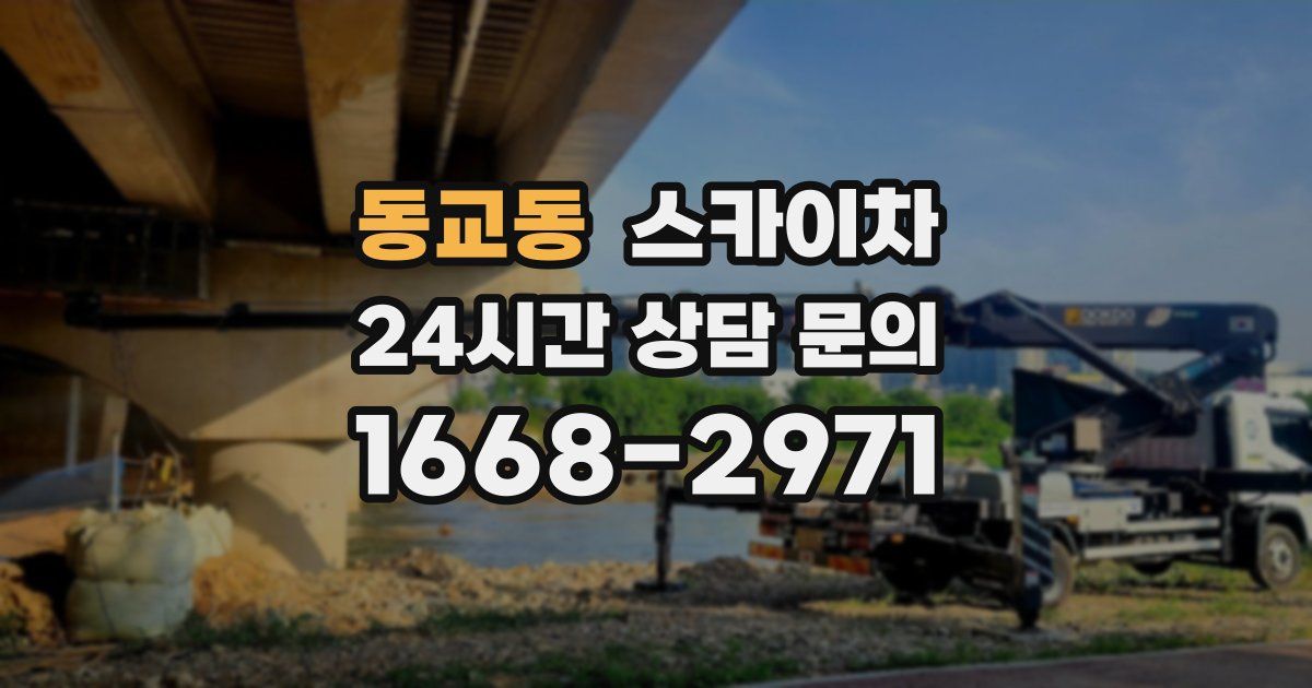 동교동 스카이차