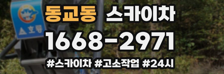 동교동 스카이차