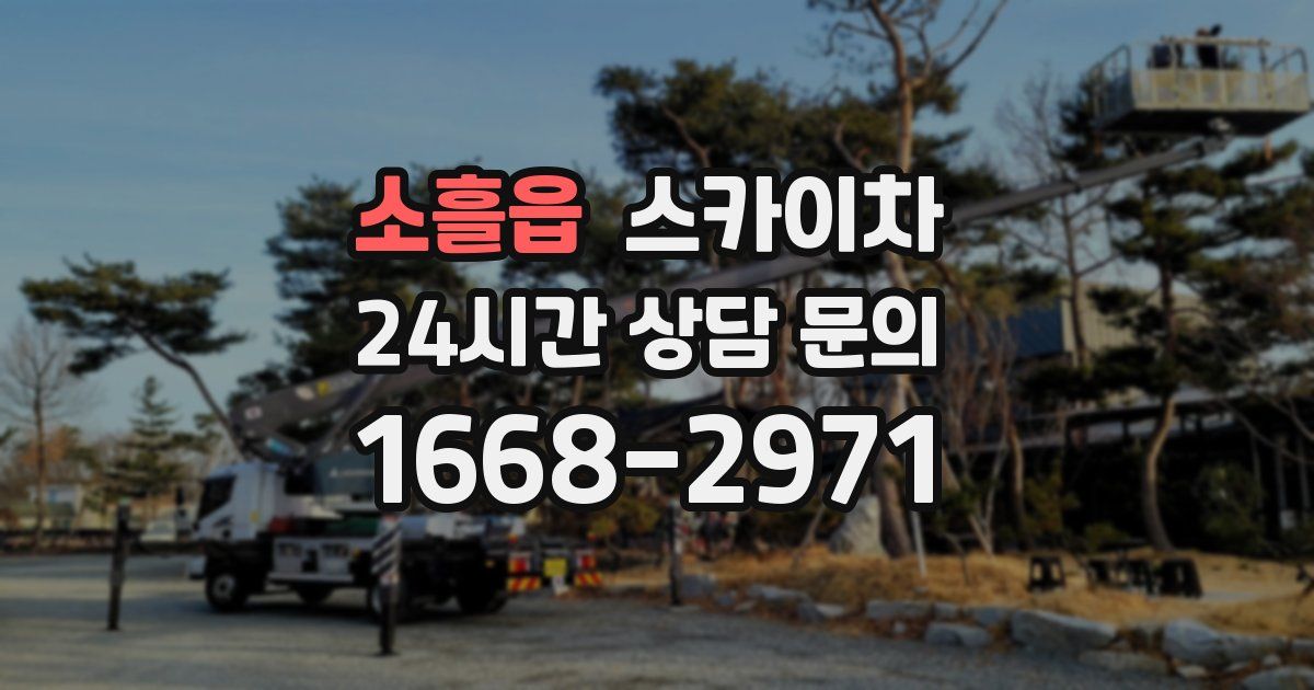 소흘읍 스카이차