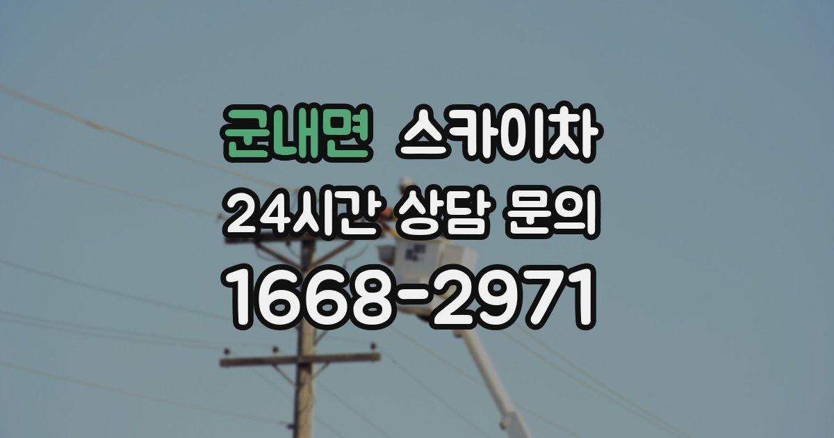 군내면 스카이차