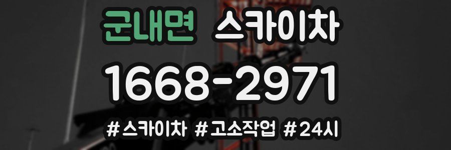 군내면 스카이차