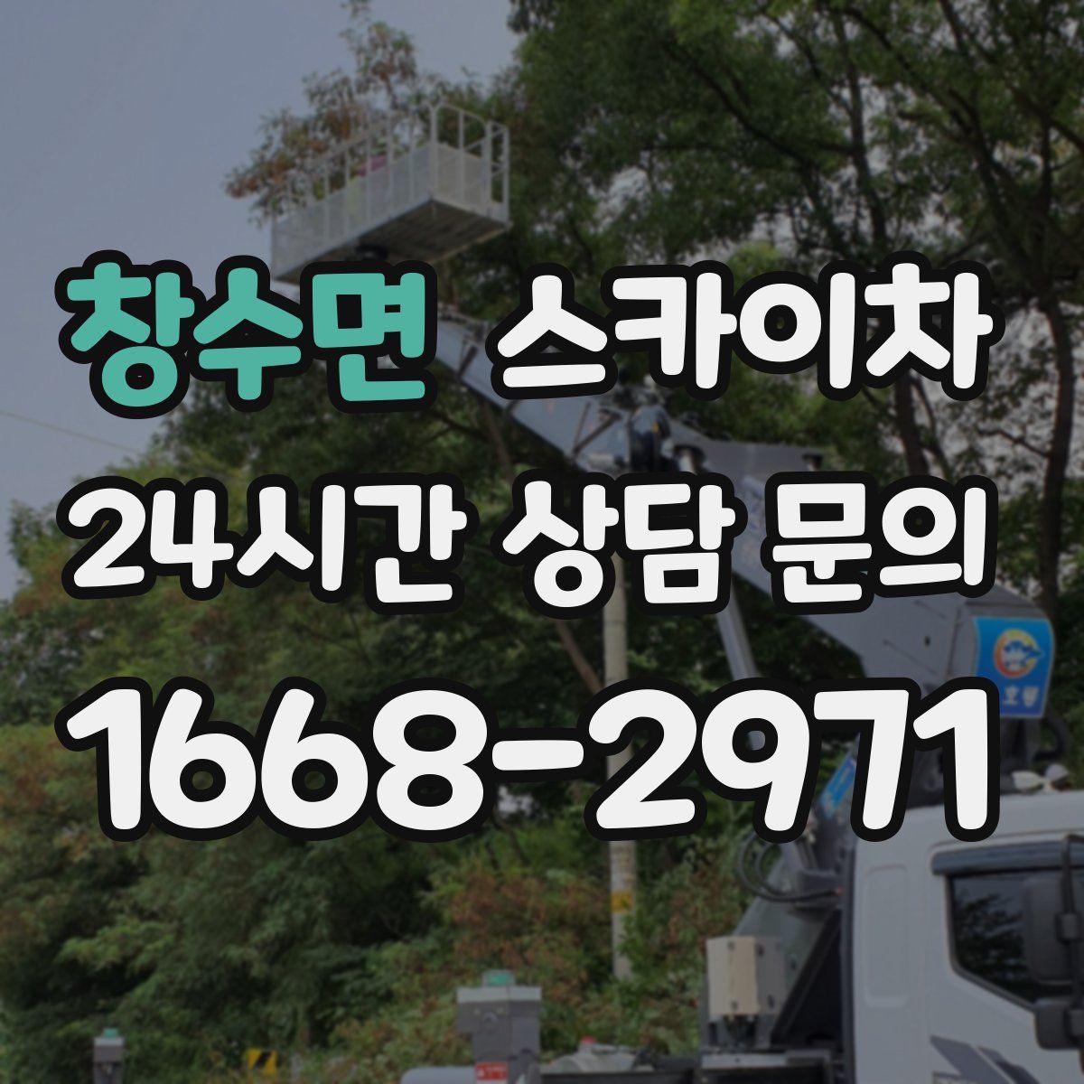 창수면 스카이차