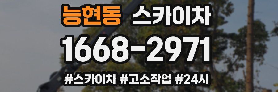 능현동 스카이차