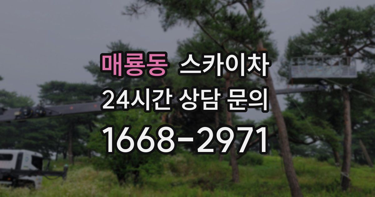 매룡동 스카이차