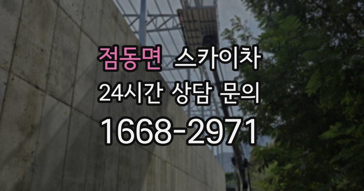 점동면 스카이차