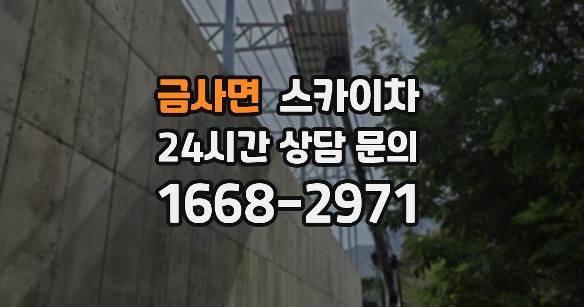 금사면 스카이차