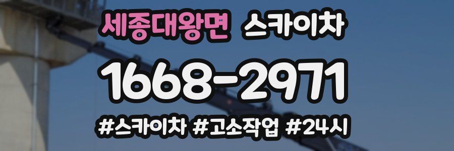 세종대왕면 스카이차