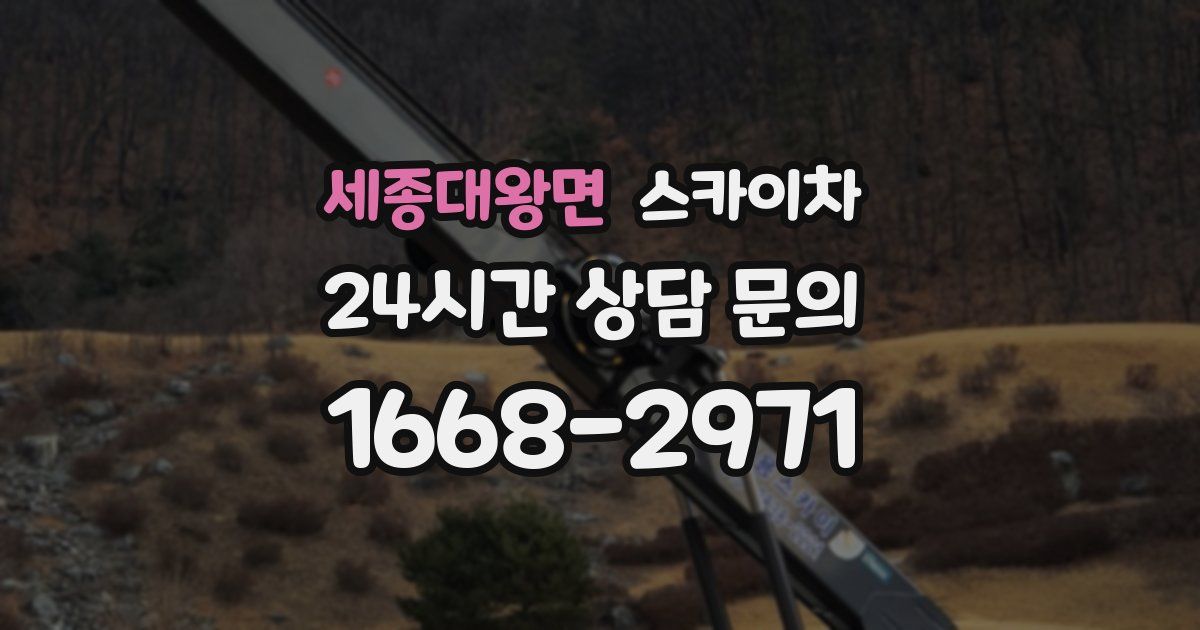 세종대왕면 스카이차