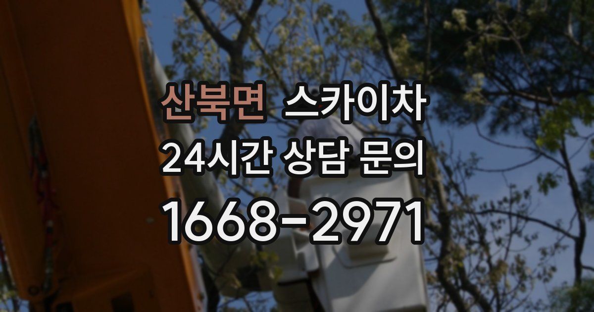 산북면 스카이차