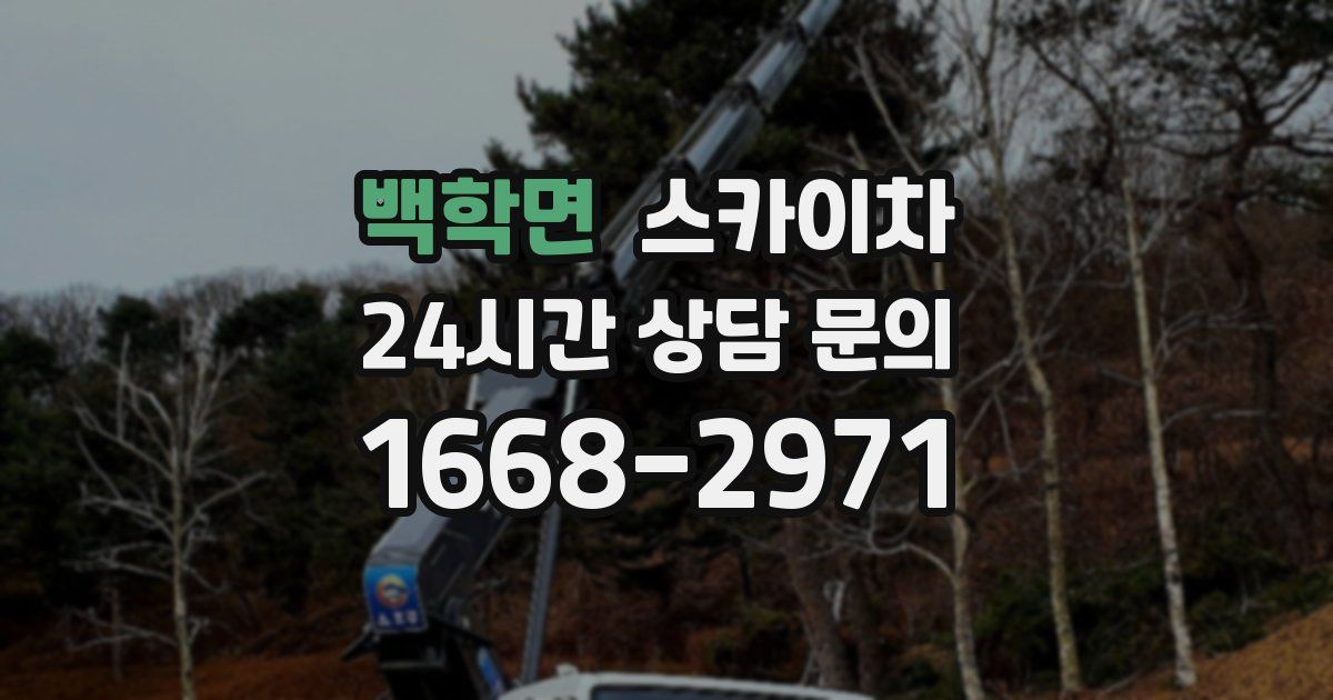 백학면 스카이차