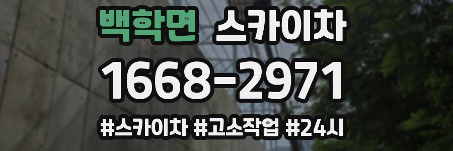 백학면 스카이차