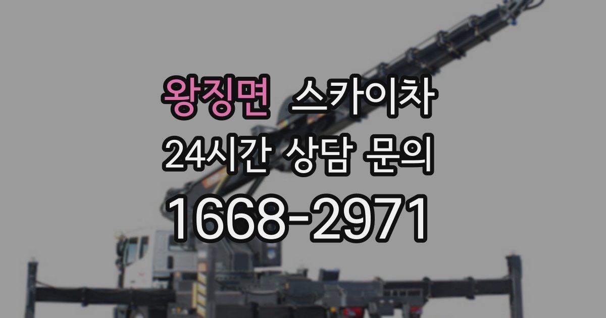 왕징면 스카이차