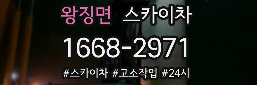 왕징면 스카이차