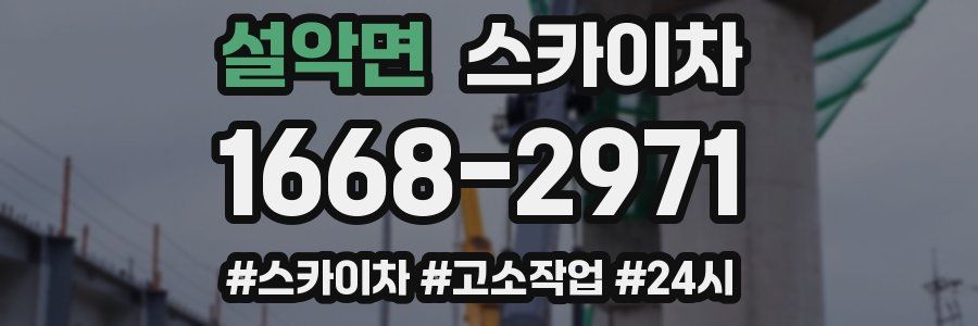 설악면 스카이차