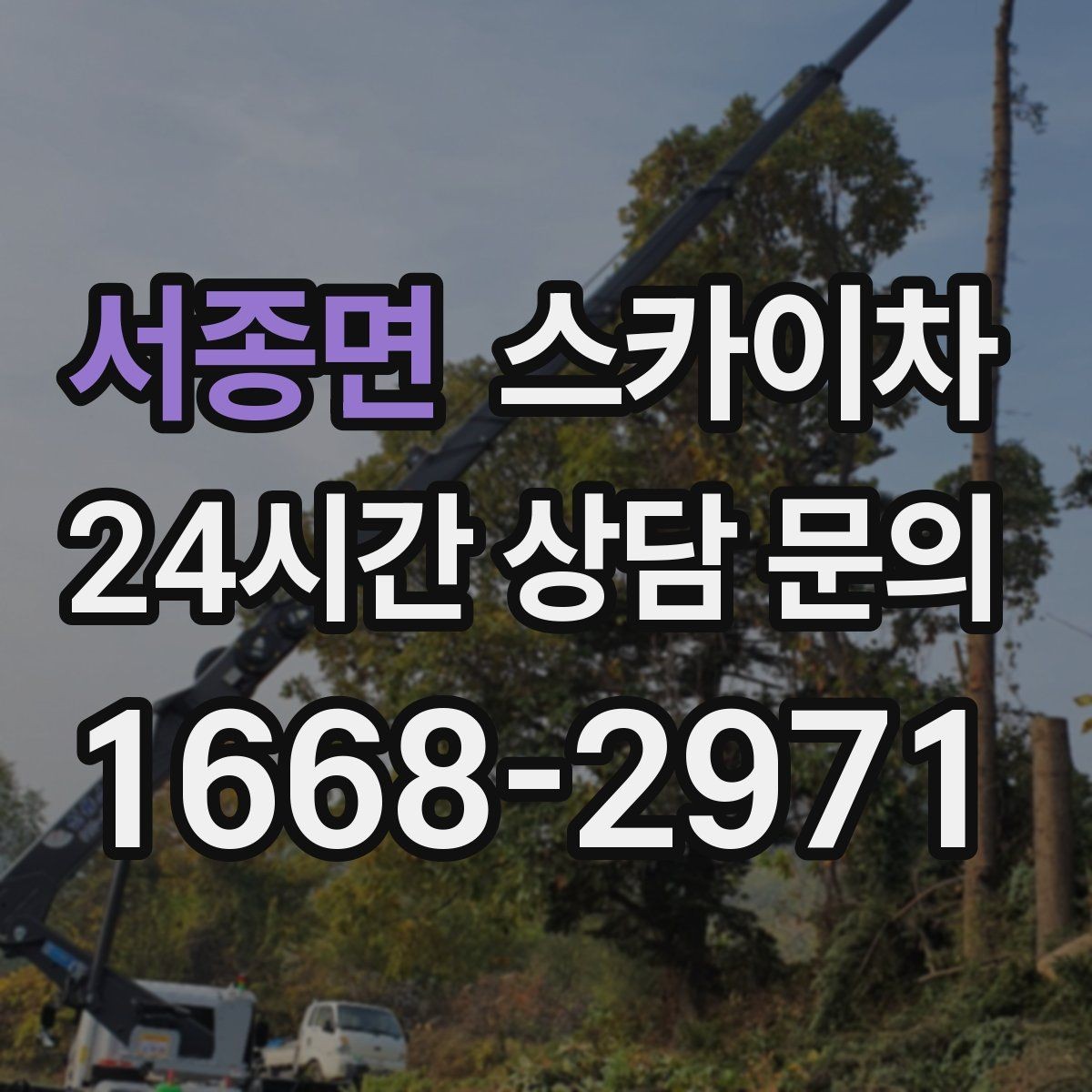 서종면 스카이차 첫 이용이라면 준비할 정보 한 번에