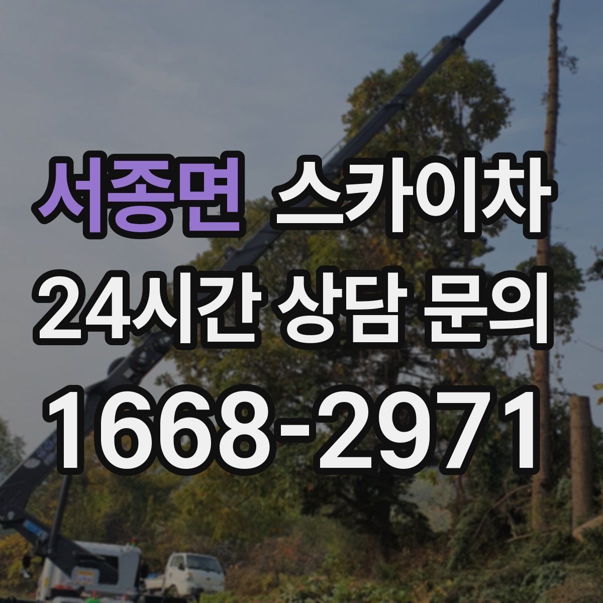 서종면 스카이차